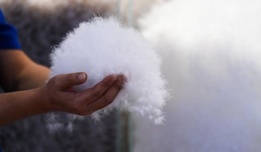 Çin'in Gangnan ilçesinin yıllık kaz tüyü üretim hacmi 90.000 tona ulaştı