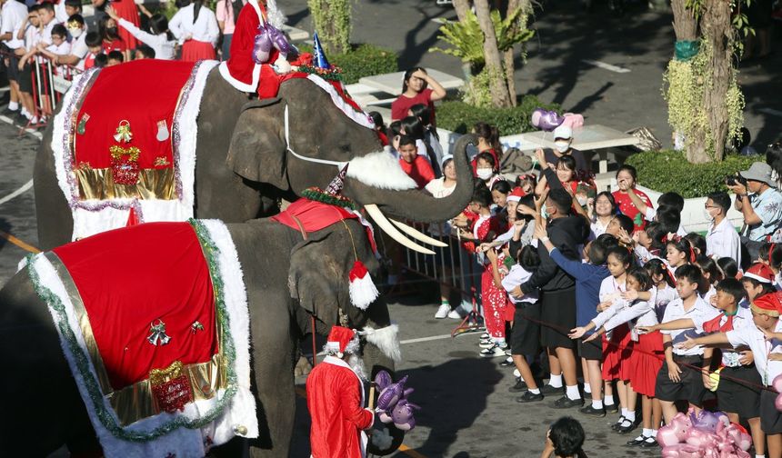 Tayland'da fillerin yer aldığı Noel kutlaması renkli görüntülere sahne oldu
