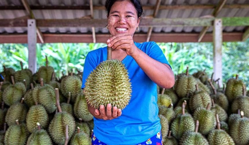 Çin'in Wuhan kentiyle Tayland'ın başkenti Bangkok arasında yeni direkt hava kargo rotası açıldı