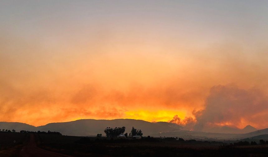 Güney Afrika'da orman yangınında 90.000 hektardan fazla alan zarar gördü