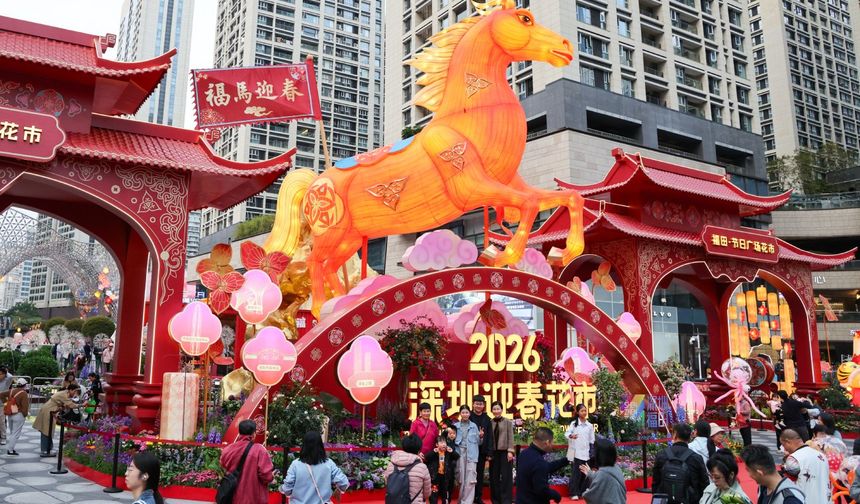 Çin'in Shenzhen kentinde Bahar Bayramı dolayısıyla çiçek pazarları kuruldu