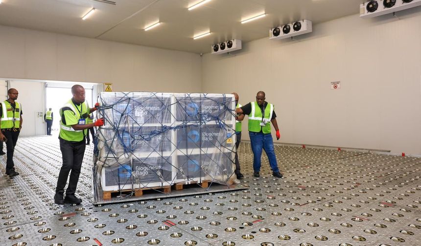 Güney Afrika, şap salgınlarına karşı aşılama çalışmalarını hız verdi