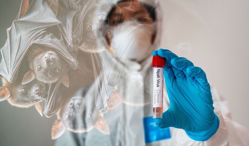 Myanmar'ın Yangon Havalimanı'nda Nipah virüsüne karşı güvenlik kontrolleri artırıldı