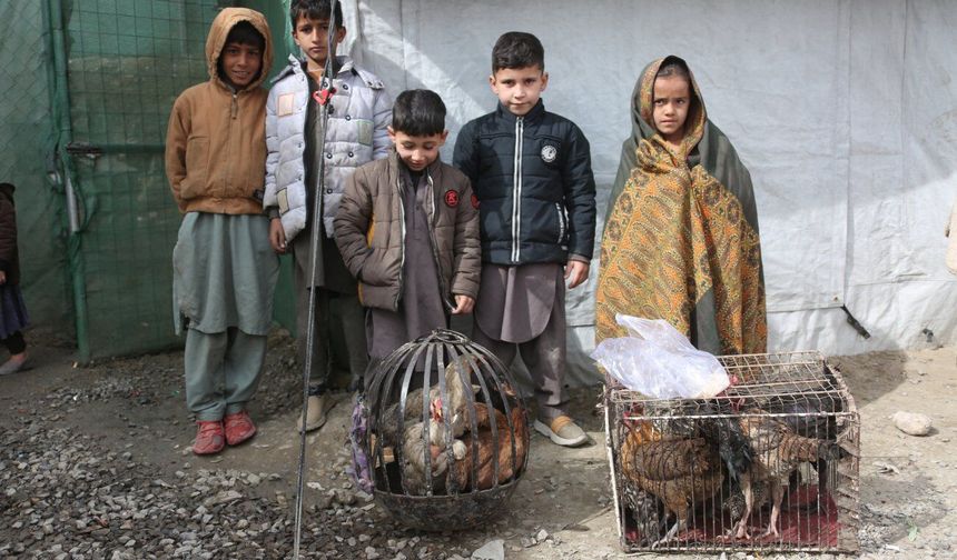 Afganistan: Son bir yılda 3 milyondan fazla mülteci geri döndü