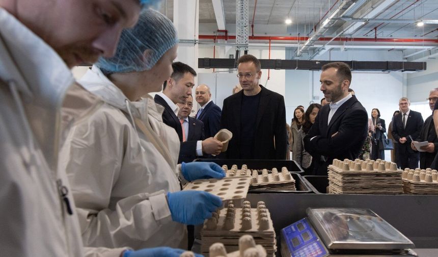 Çinli şirketler, mevzuattaki engellere rağmen AB'de yatırımlarını artıracak