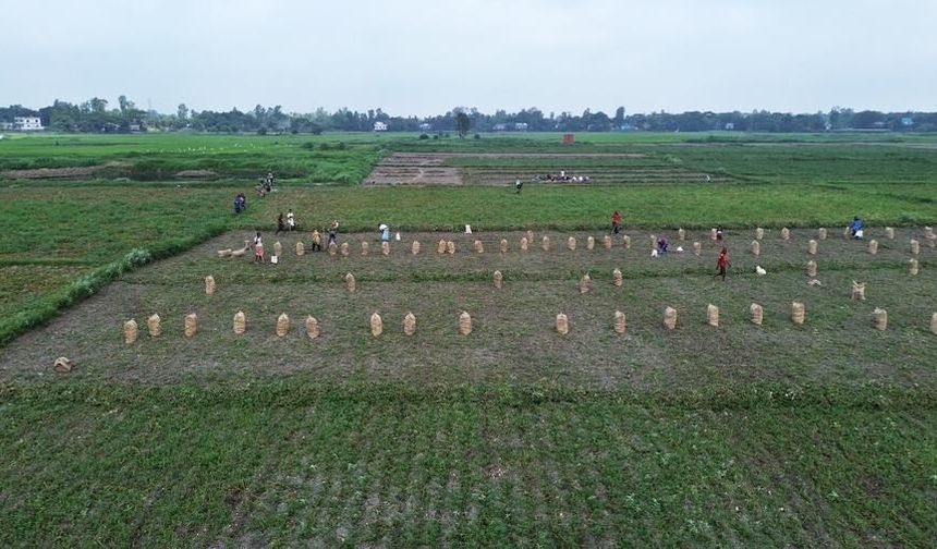 Bangladeş'te yıldırım düşmesi sonucu 12 kişi hayatını kaybetti