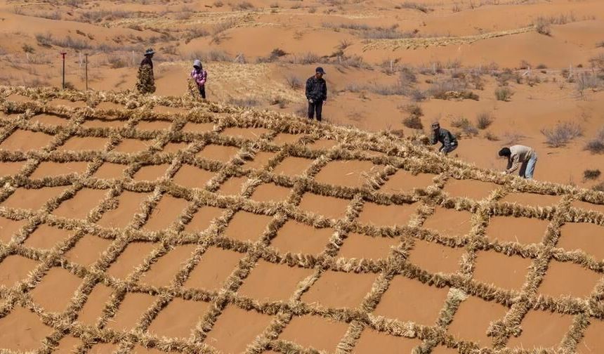 Çin çölleşmeyle mücadele için Tengger Çölü'ndeki saman bariyerleri yeniliyor