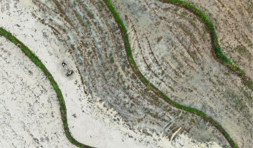 Çin'de 2026'da tahıl ve ana tarım ürünlerinin arzında artış bekleniyor