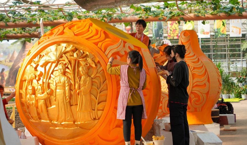 Çin'in Shouguang kenti 27. Uluslararası Sebze Bilim ve Teknolojisi Fuarı'na ev sahipliği yapacak