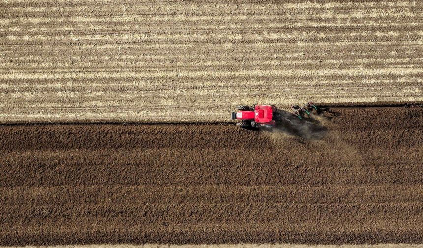 Çin'in Tongliao kentinde mısır ekim alanının 2026'da 1,33 milyon hektara ulaşması bekleniyor