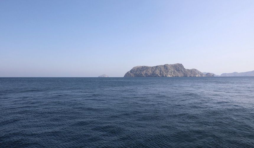 Hürmüz Boğazı'nda bir Fransız gemisine uyarı ateşi açıldı