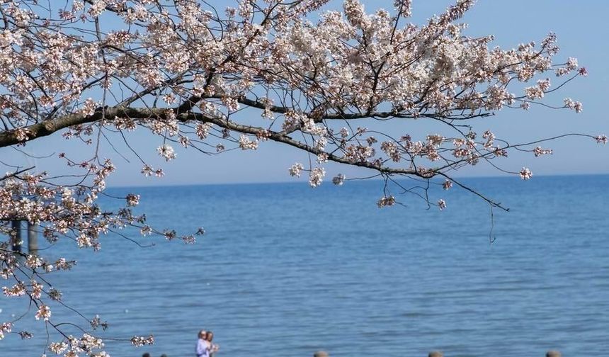 Kanadalıların çoğu ABD'nin politikalarından dolayı endişeli