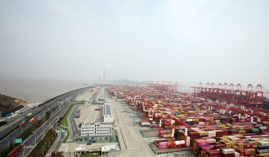 Çin'in Shanghai Yangshan Limanı artan konteyner hacmiyle lojistik gücünü genişletiyor