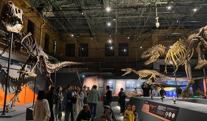 Dinozorların Kralı Özel Sergisi, Beijing'de kapılarını ziyaretçilere açtı