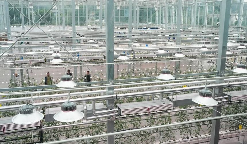 Çin, tarımsal ve kırsal modernleşmeyi hızlandırmaya yönelik 5 yıllık plan açıkladı