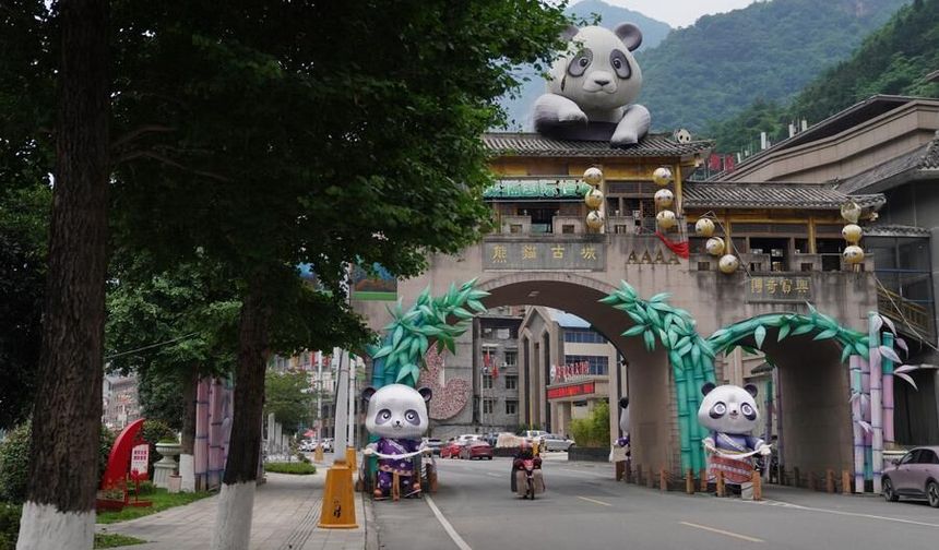 Çin'de dev panda temalı milli park ziyaretçilerin yoğun ilgisini çekiyor
