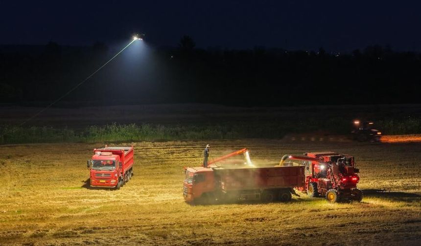 Çinli çiftçiler, gece hasadında aydınlatma dronelarından yararlanıyor