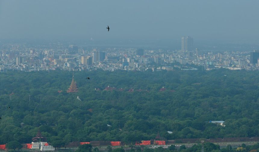 Myanmar bu yılki yağış sezonunda 21 milyondan fazla fidan dikecek