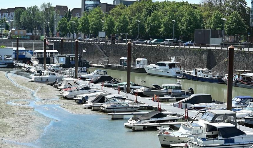 Almanya'da kuraklık nedeniye Ren Nehri'nin su seviyesi düştü