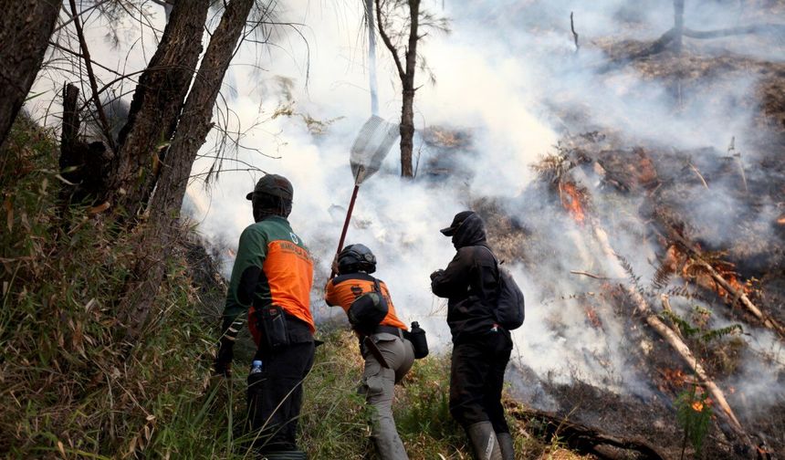 Endonezya'nın Bromo Tengger Semeru Milli Parkı'nda orman yangını