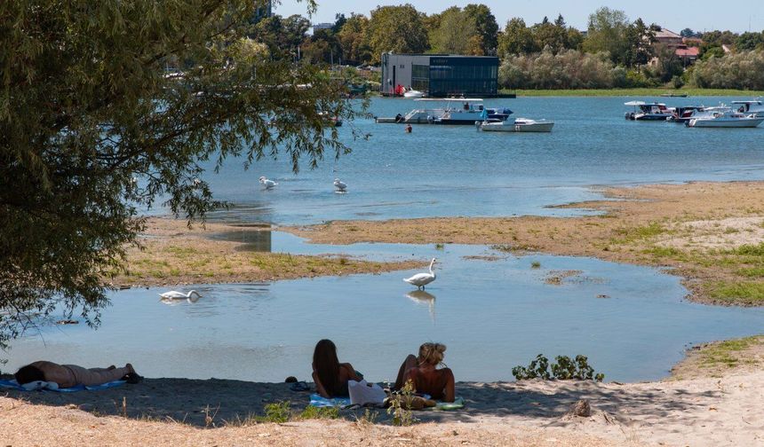 Sırbistan'da Tuna Nehri'nin su seviyesi rekor düzeyde düştü