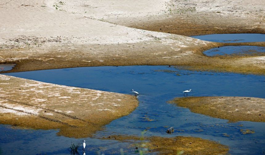 Tuna Nehri'nin su seviyesi rekor seviyeye geriledi