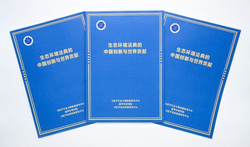 Xinhua Enstitüsü: Çin'in Ekoloji ve Çevre Yasası küresel çevre yönetişimine katkı sunacak