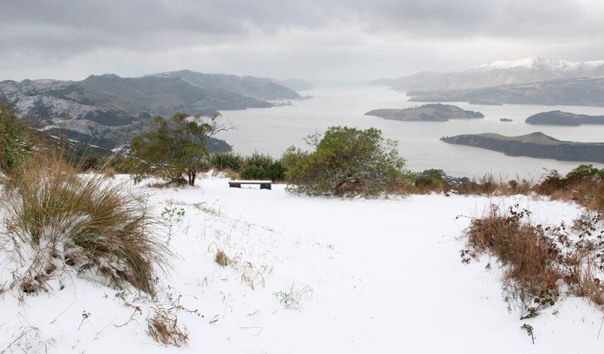Yeni Zelanda'da kar ve dolu hayatı olumsuz etkiledi