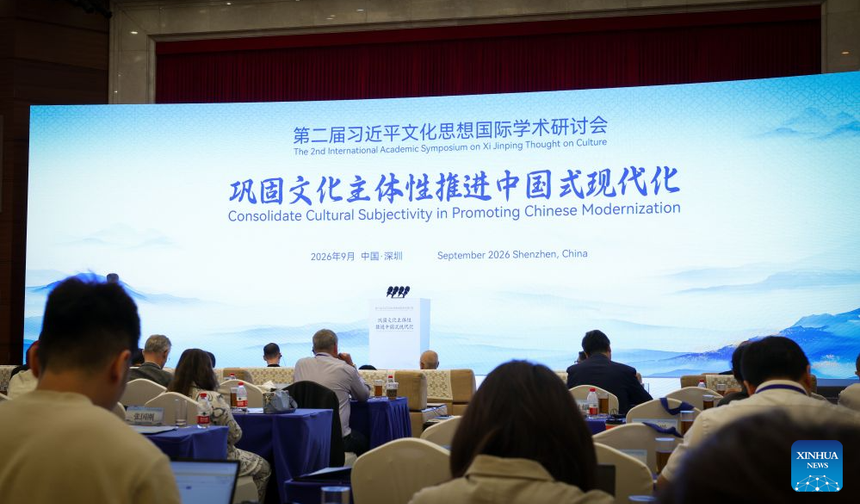 China Focus: Think tank report highlights value of China's new popular literature, art