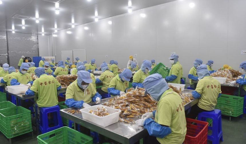 Çin'in Kamboçya'dan mango ithalatı, ülkenin ekonomik büyümesine katkı sağlıyor