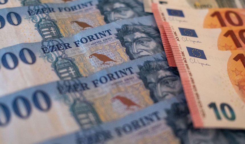 Macaristan'ın para birimi forint, seçimlerden bu yana euro karşısında en düşük seviyeye geriledi