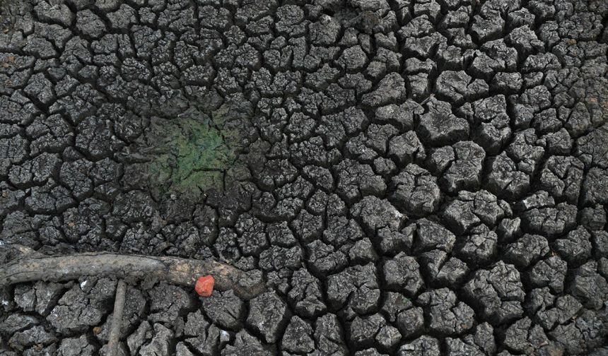 Sri Lanka'da El Nino kaynaklı kuraklık 115.000'den fazla kişiyi olumsuz etkiledi