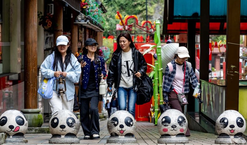 Çin'de Baoxing ilçesi dev panda temalı ekoturizmle öne çıkıyor