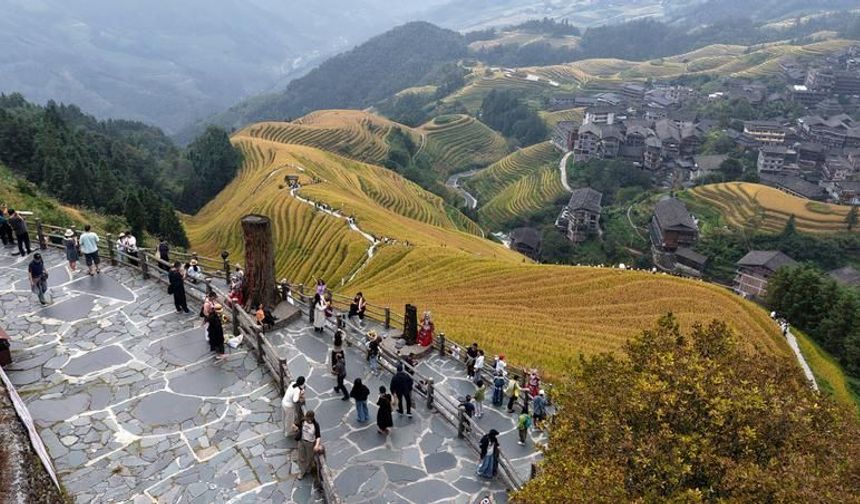 Çin'in Longji pirinç terasları sonbahar renkleriyle turistlerin ilgi odağı oldu