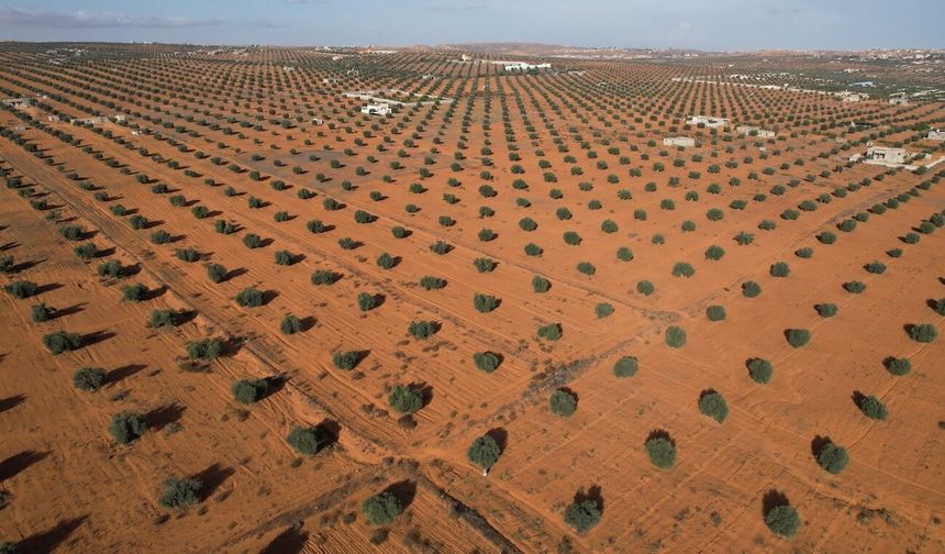 Libya, tarım ürünlerinin ve yerli üretim gıda maddelerinin ihracatını yasakladı