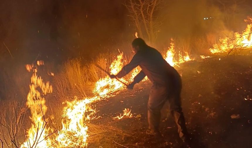 Namibya'daki Etosha Ulusal Parkı'nın yüzde 16'sı orman yangınlarından etkilendi