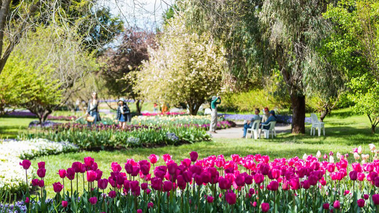 Floriade Festivali 3