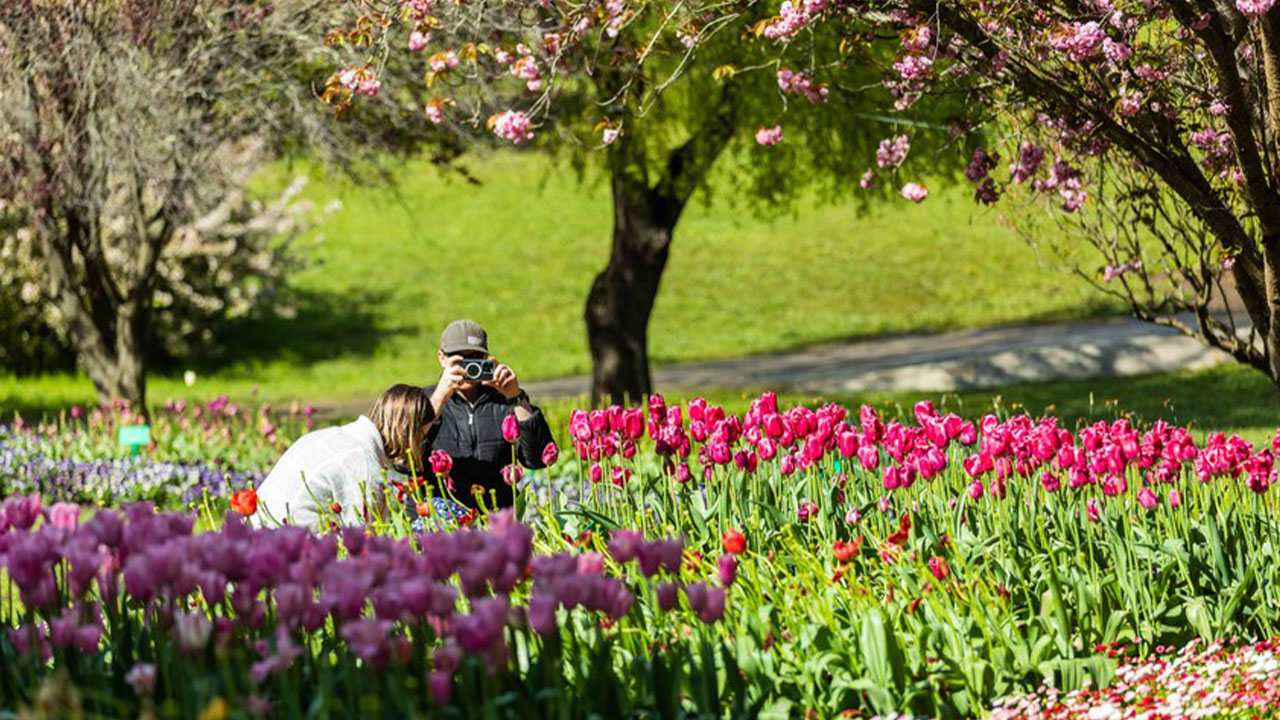 Floriade Festivali 4