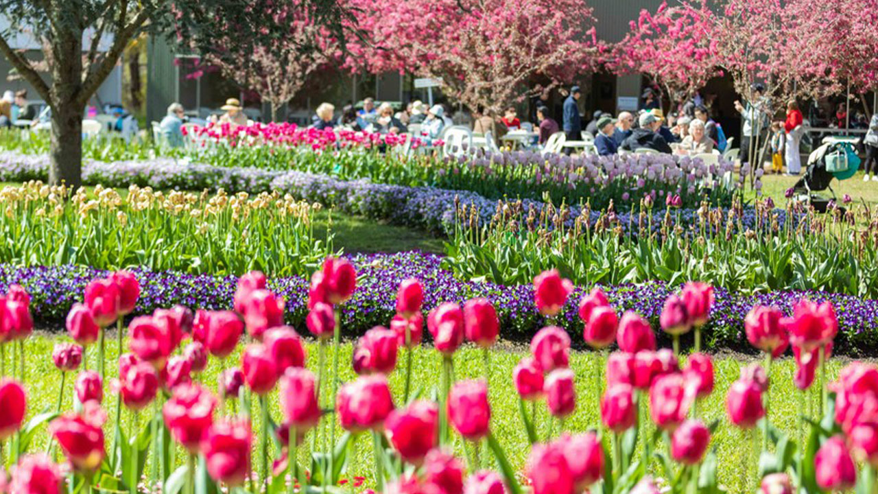 Floriade Festivali 5