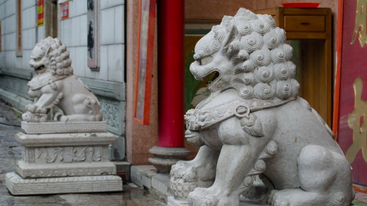 Çincede ve Türkçede Aslan ile İlgili Deyimlerin Kültürel Anlamı (2)