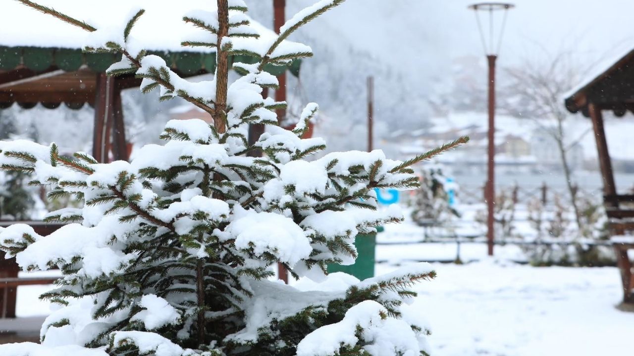 Uzungöl'den kar manzaraları (3)