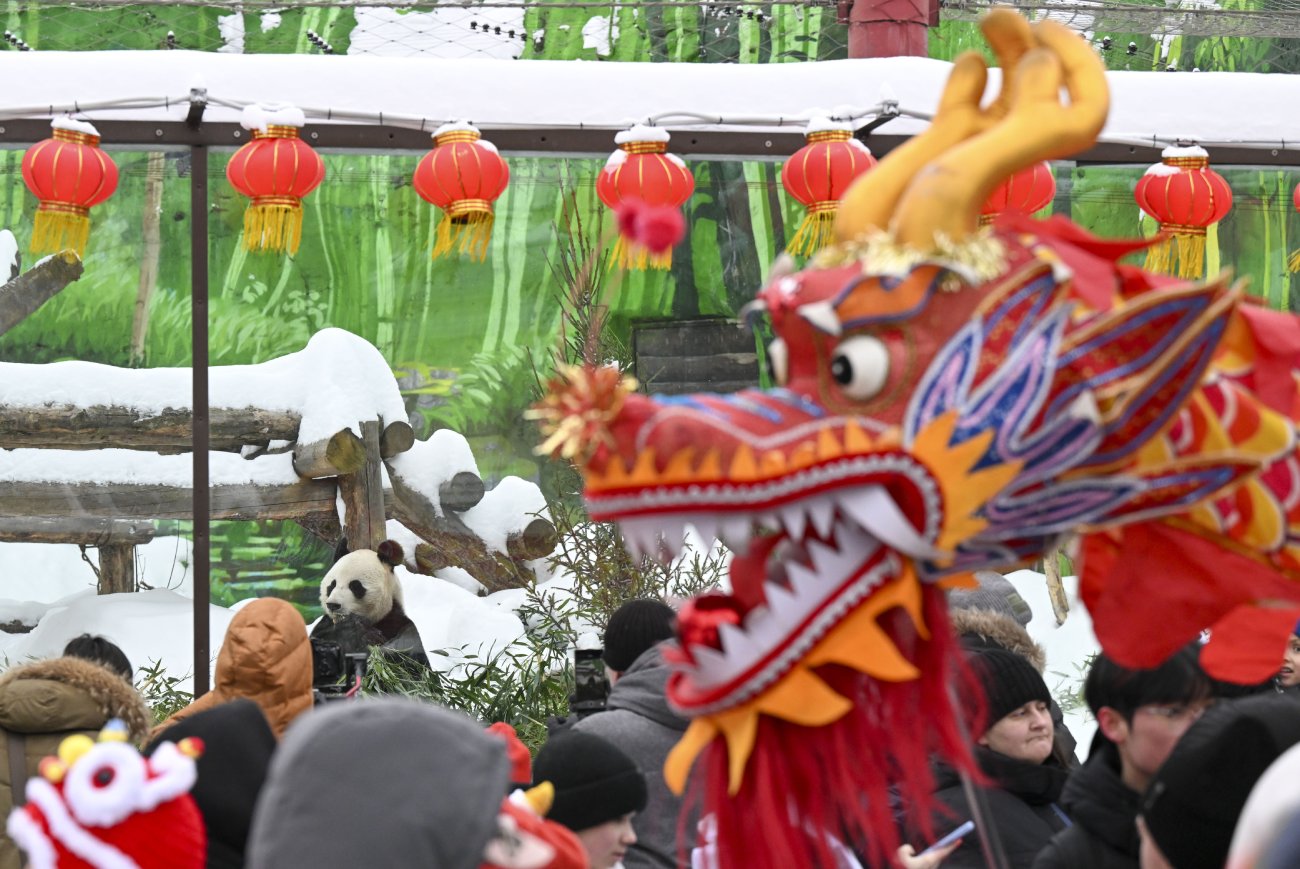 Moskova Hayvanat Bahçesi 3