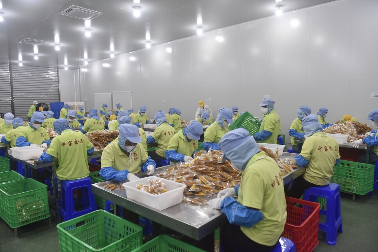 Çin'in Kamboçya'dan mango ithalatı, ülkenin ekonomik büyümesine katkı sağlıyor